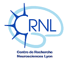Centre de Recherche en Neurosciences de Lyon